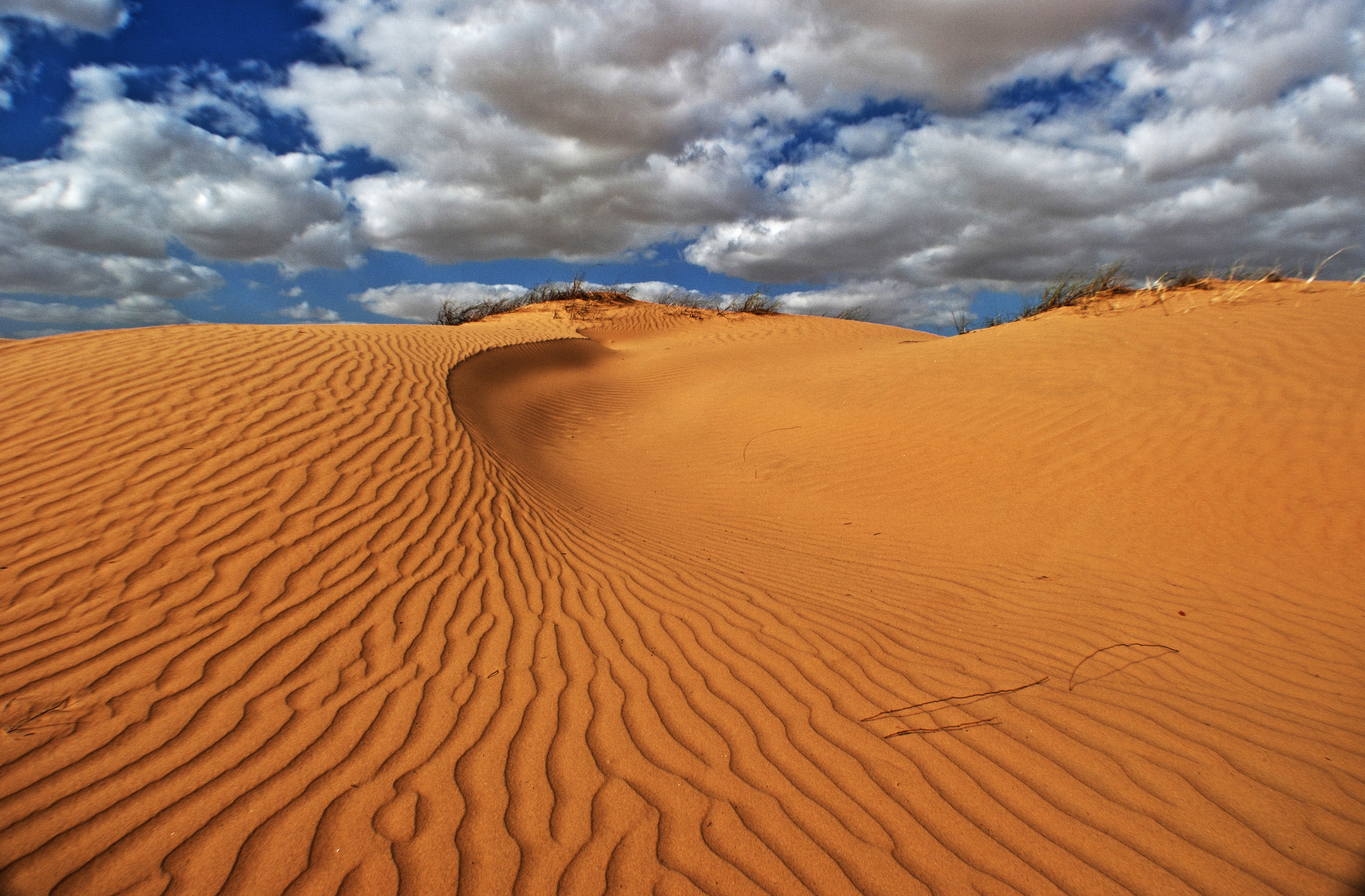 Sand in the Sugar Desert