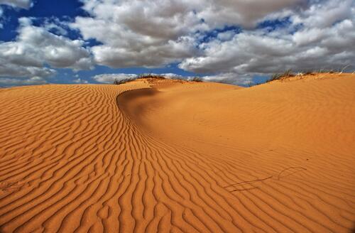 糖的沙漠中的沙子