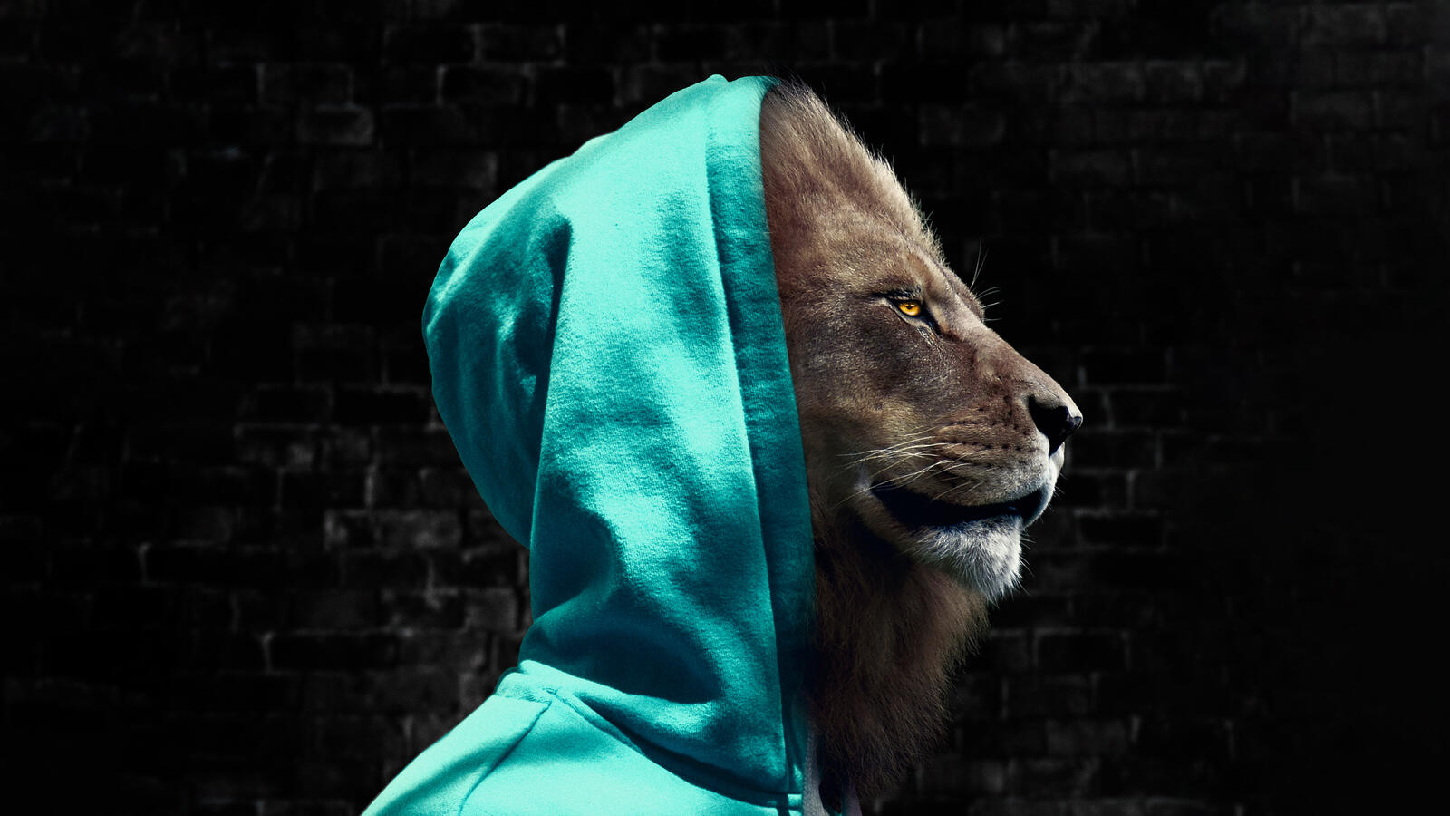 Free photo Portrait of a lion in a blue hood
