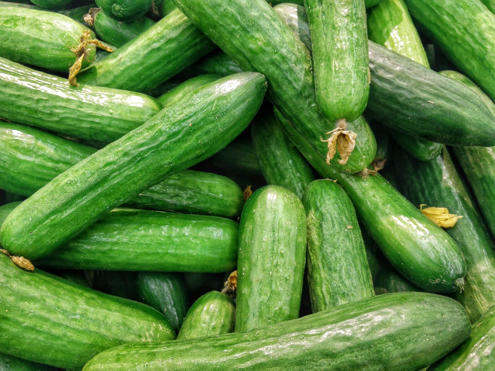 Free photo Green salad cucumbers