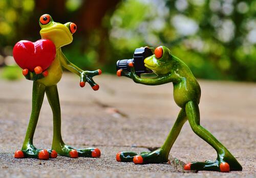 Groovy frogs, filming a posing frog with a heart