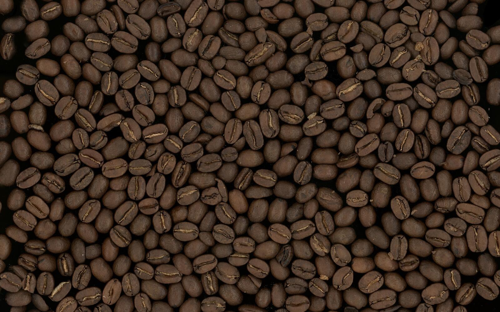 Free photo A background of small coffee beans