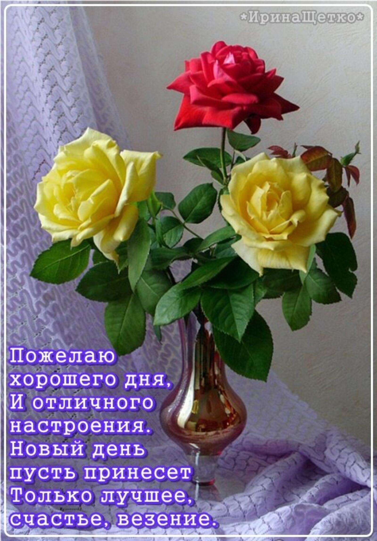 一张以好心情 心情 玫瑰花束为主题的明信片