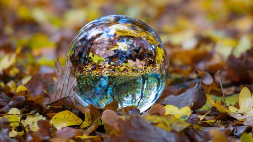 Прозрачный стеклянный шар лежит в опавших листьях