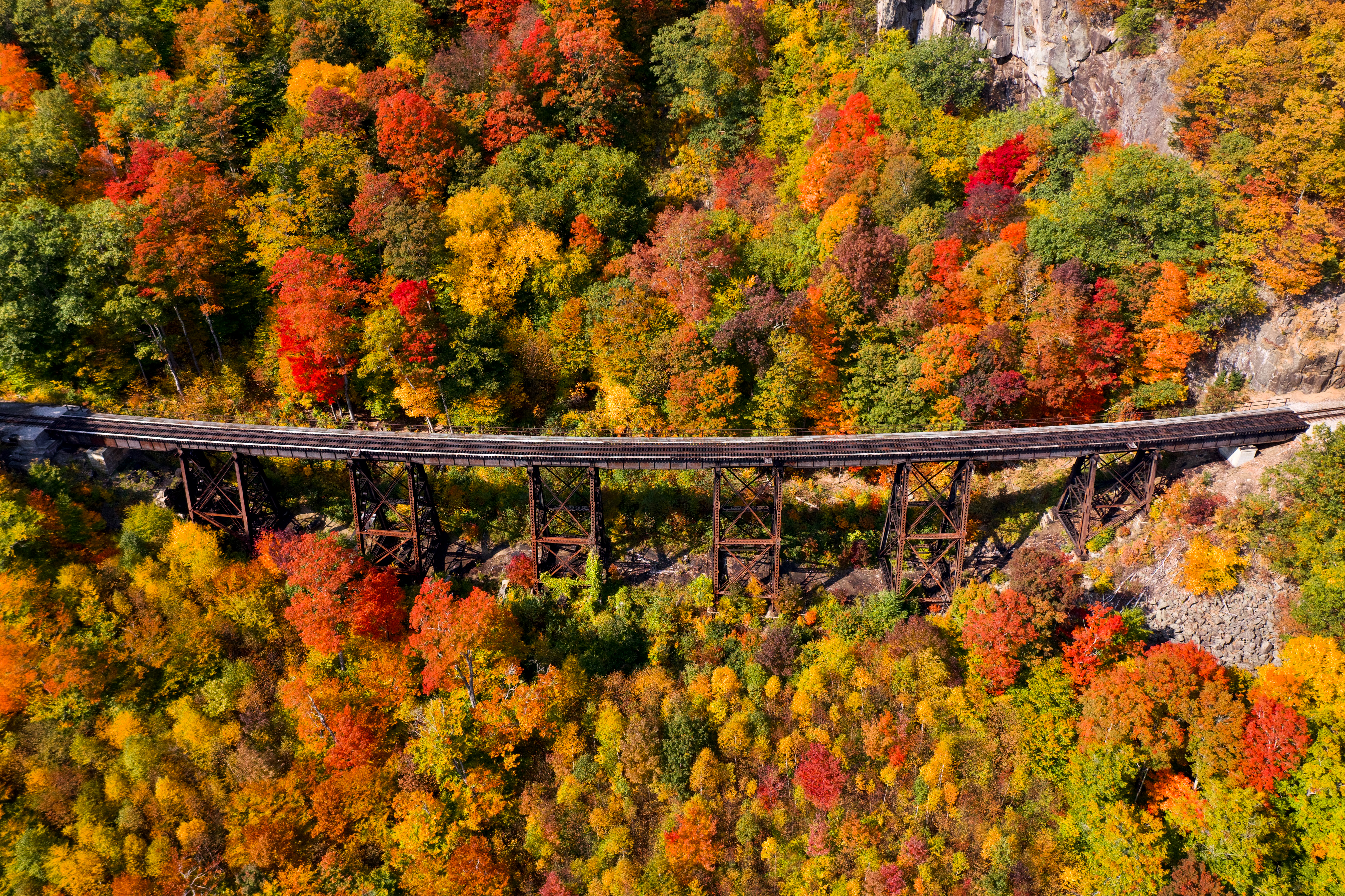 Бесплатное фото Железнодорожный мост среди осенних листьев