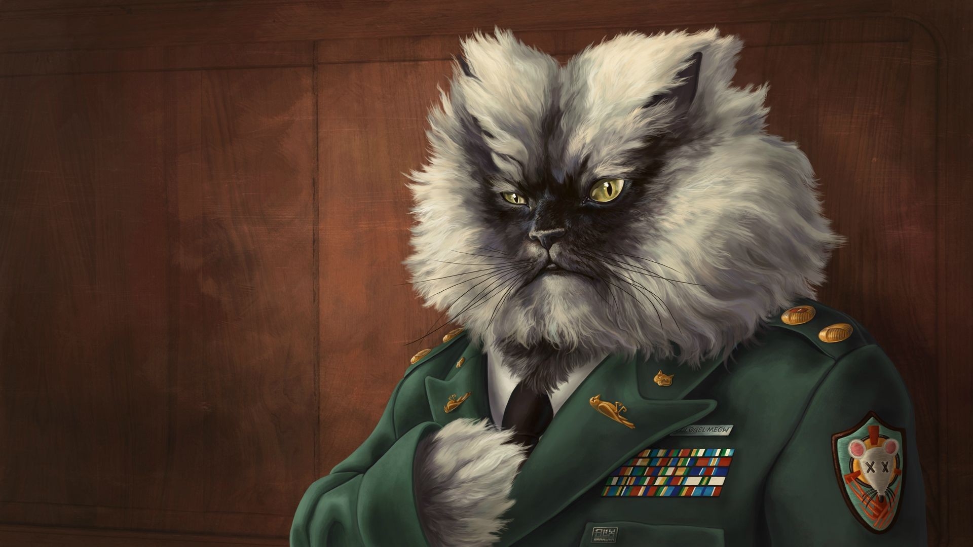 A cat in a military coat with orders.