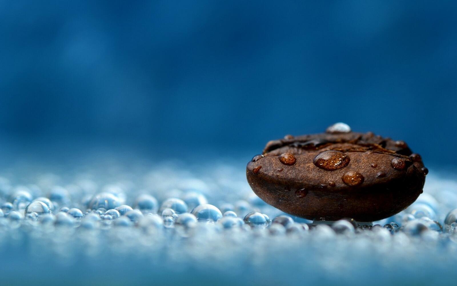 Бесплатное фото Капли воды на кофейном зерне