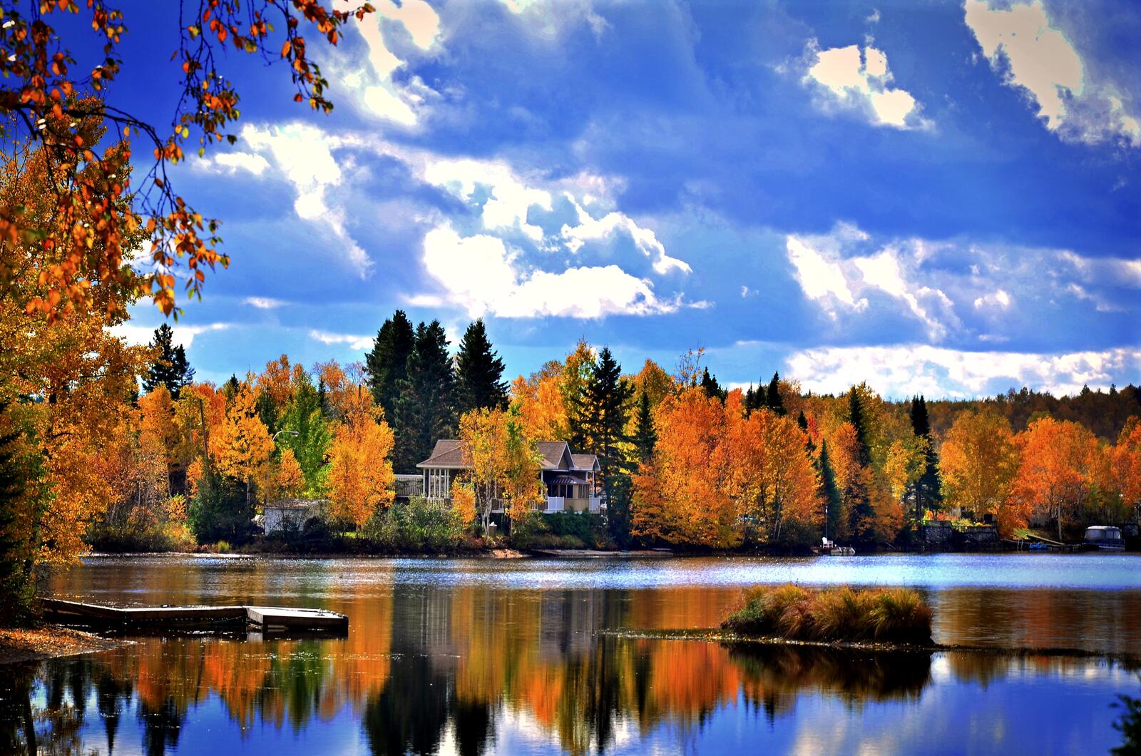 Free photo Autumn landscape on the river