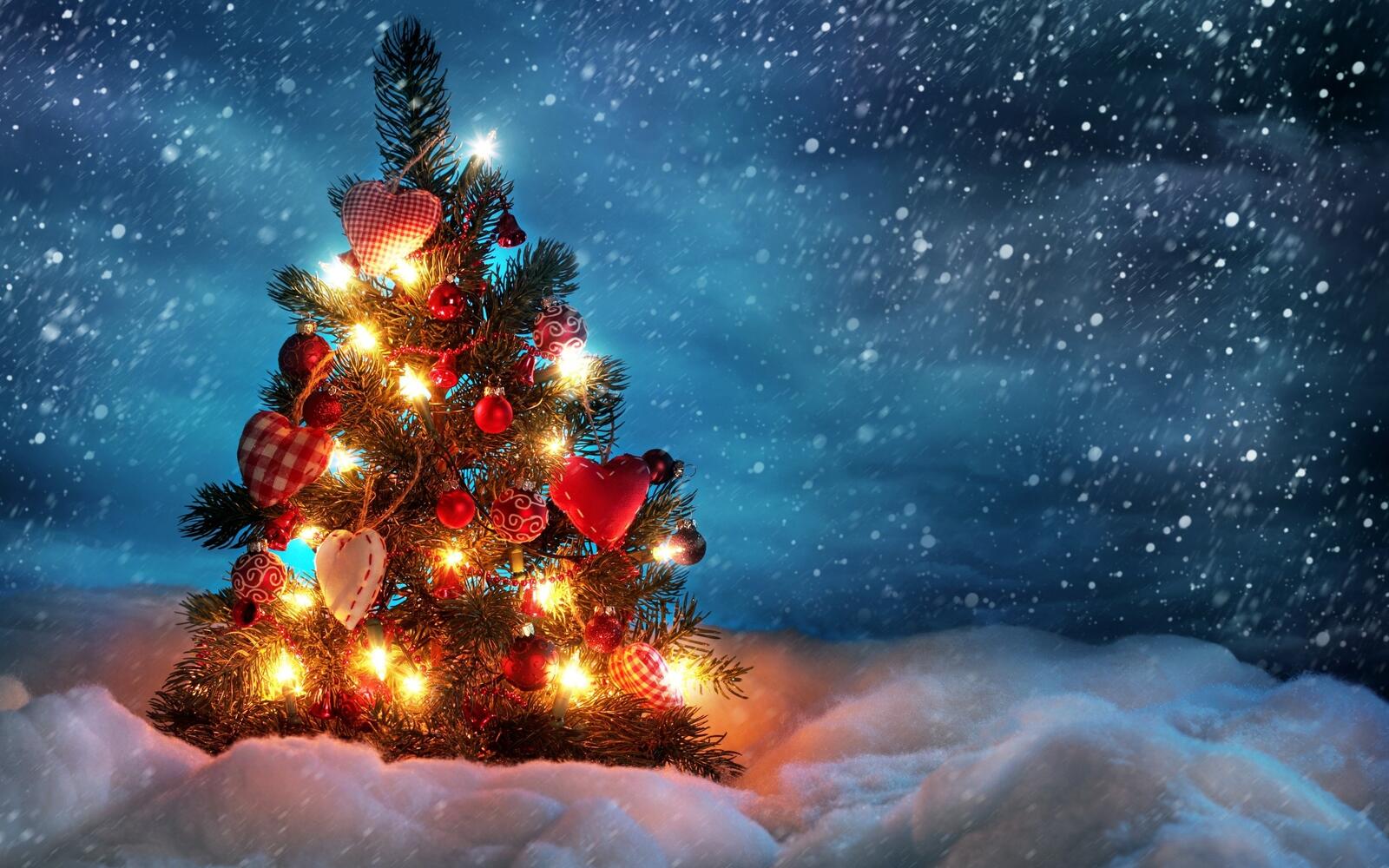 免费照片装饰一新的小圣诞树