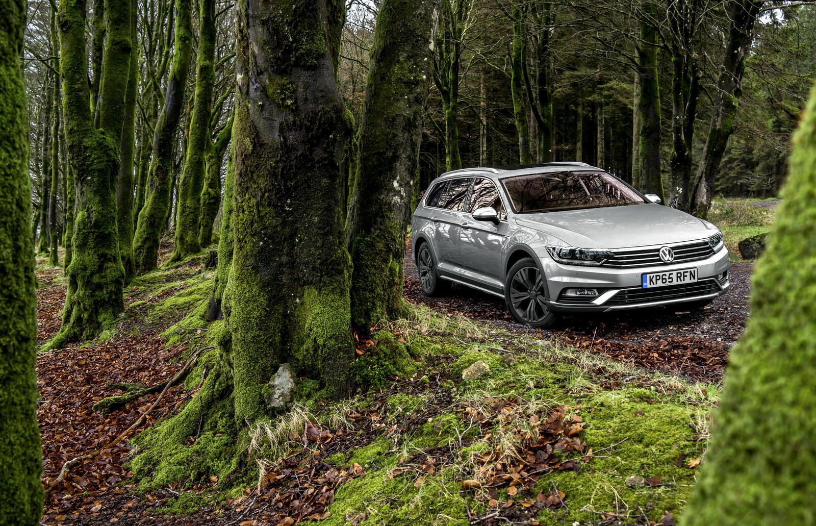 Бесплатное фото Volkswagen passat в лесу
