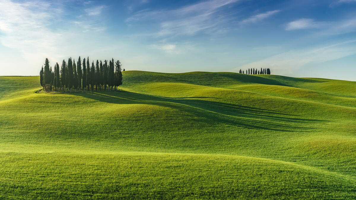 Green fields in Tuscany Italy