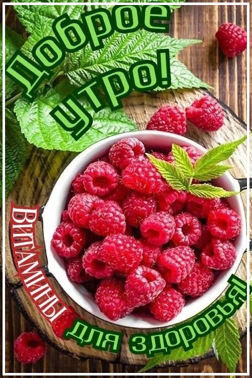 Free postcard Morning with ripe raspberries