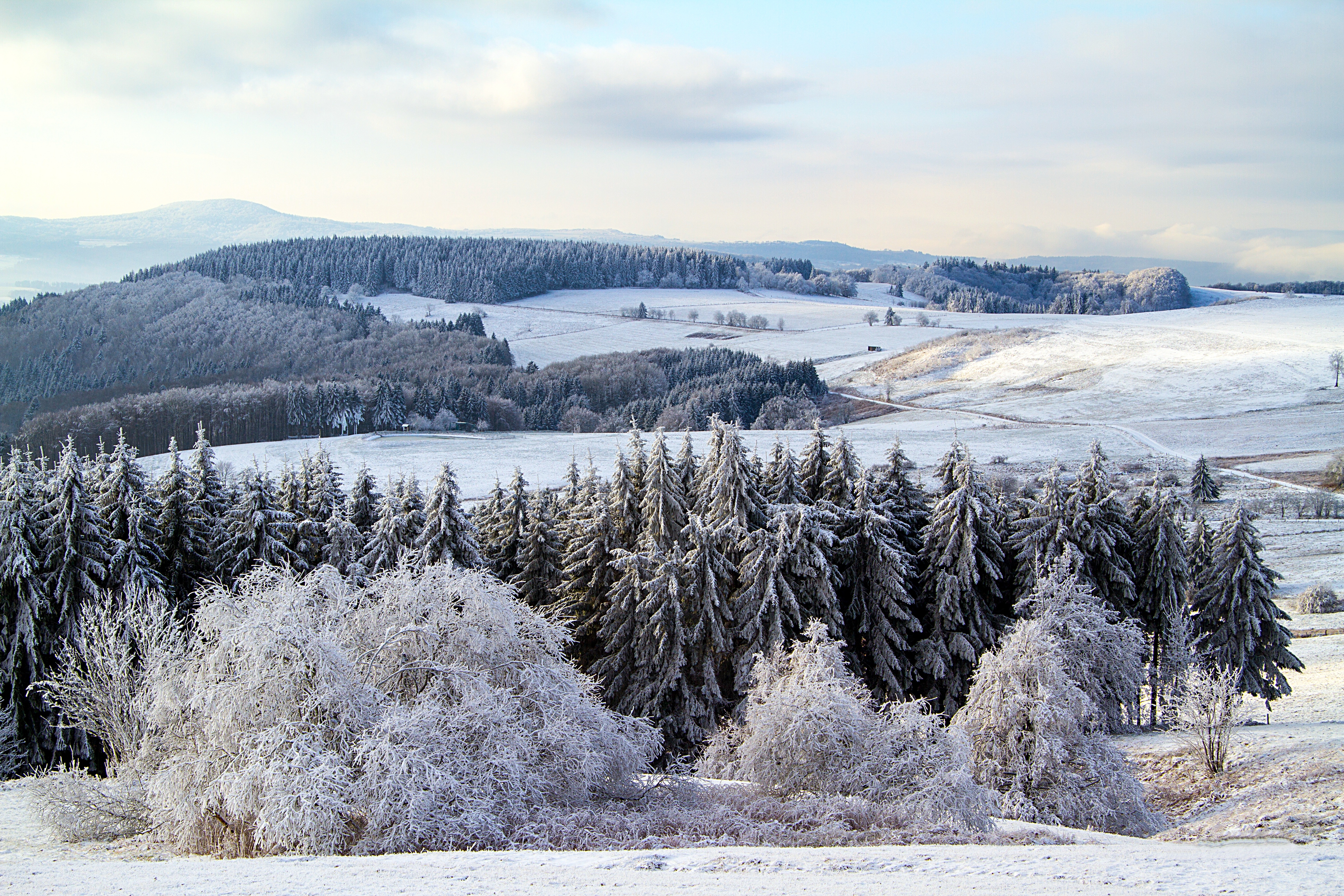 德国冬天的雪，在有山丘的田野上