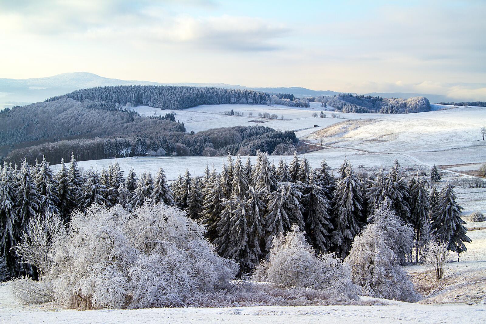 免费照片德国冬天的雪，在有山丘的田野上