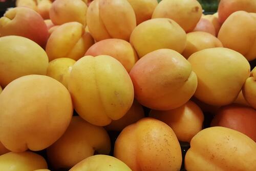 Ripe yellow apricots