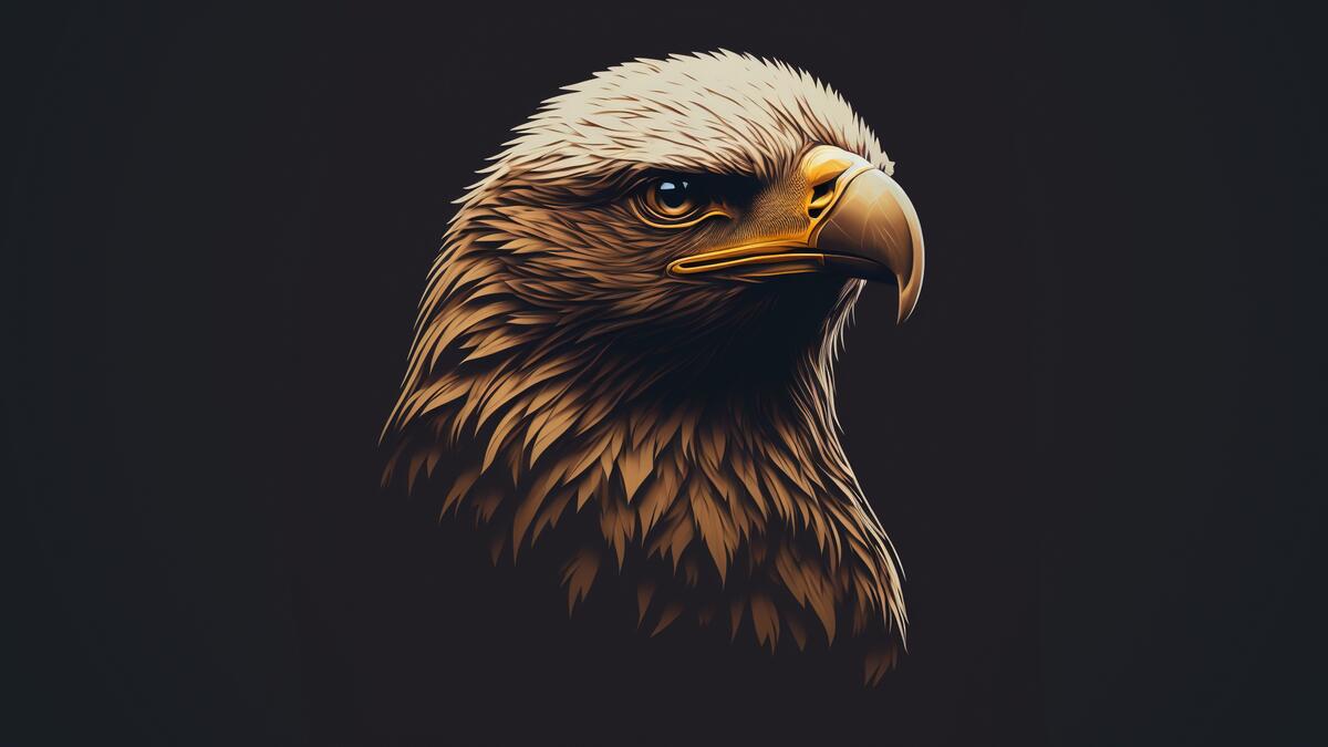 Rendering a portrait of an eagle on a black background