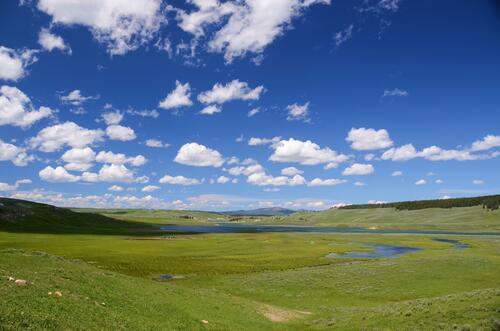 Обмелевшая река на летнем поле под чистым голубым небом