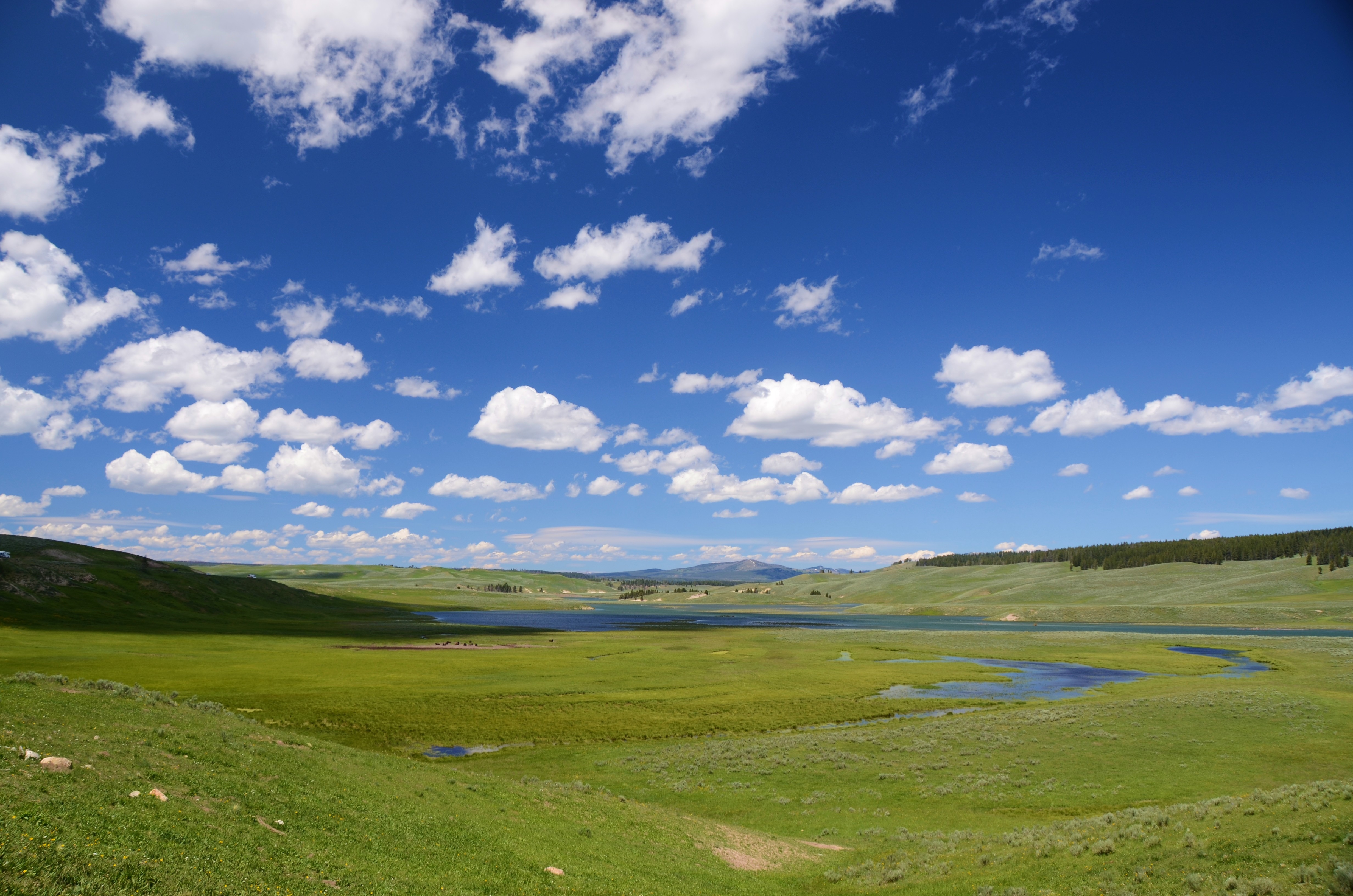 Бесплатное фото Обмелевшая река на летнем поле под чистым голубым небом