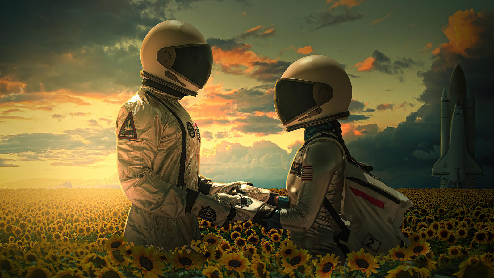 Wallpapers astronaut encounter field on the desktop