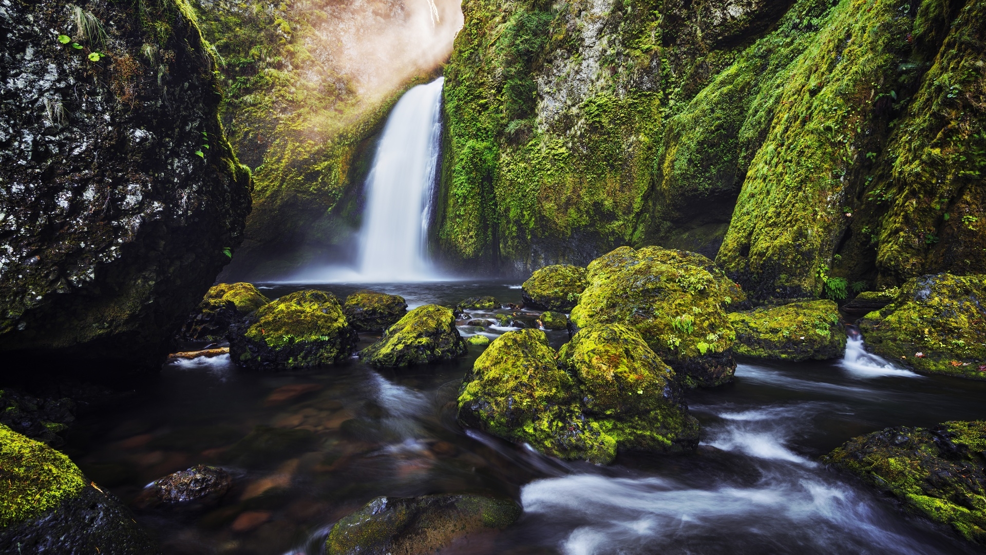 Фото бесплатно обои водопад, кустарники, река