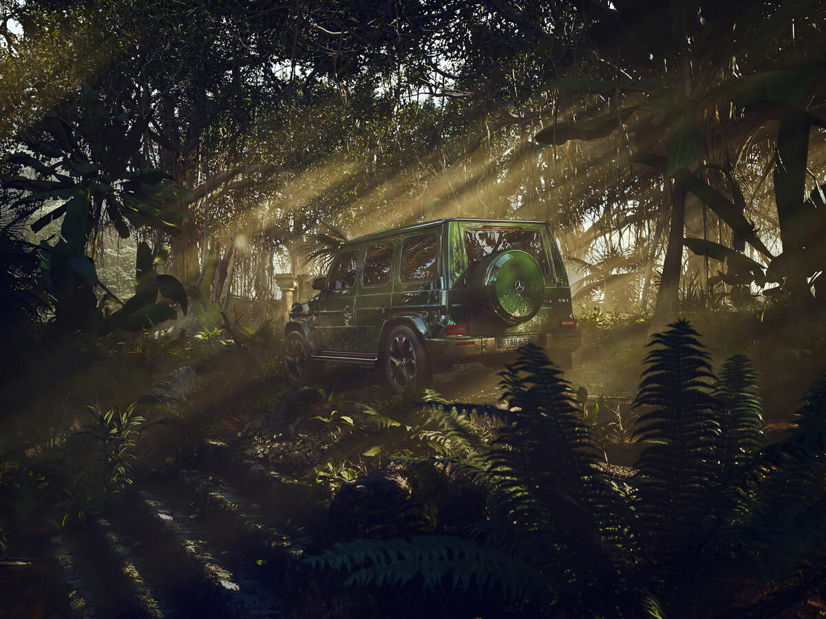 Green Mercedes G Class merged with the leaves in a dense forest
