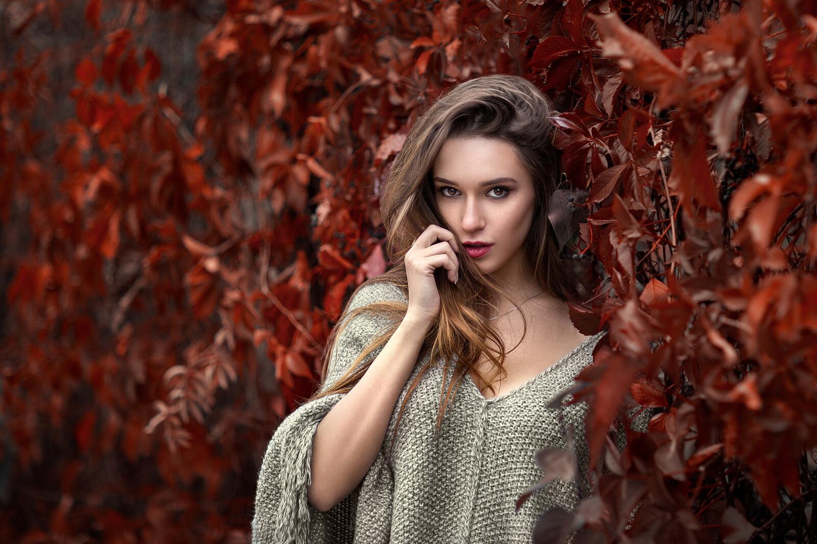 Бесплатное фото Красивая шатенка с осенними листьями