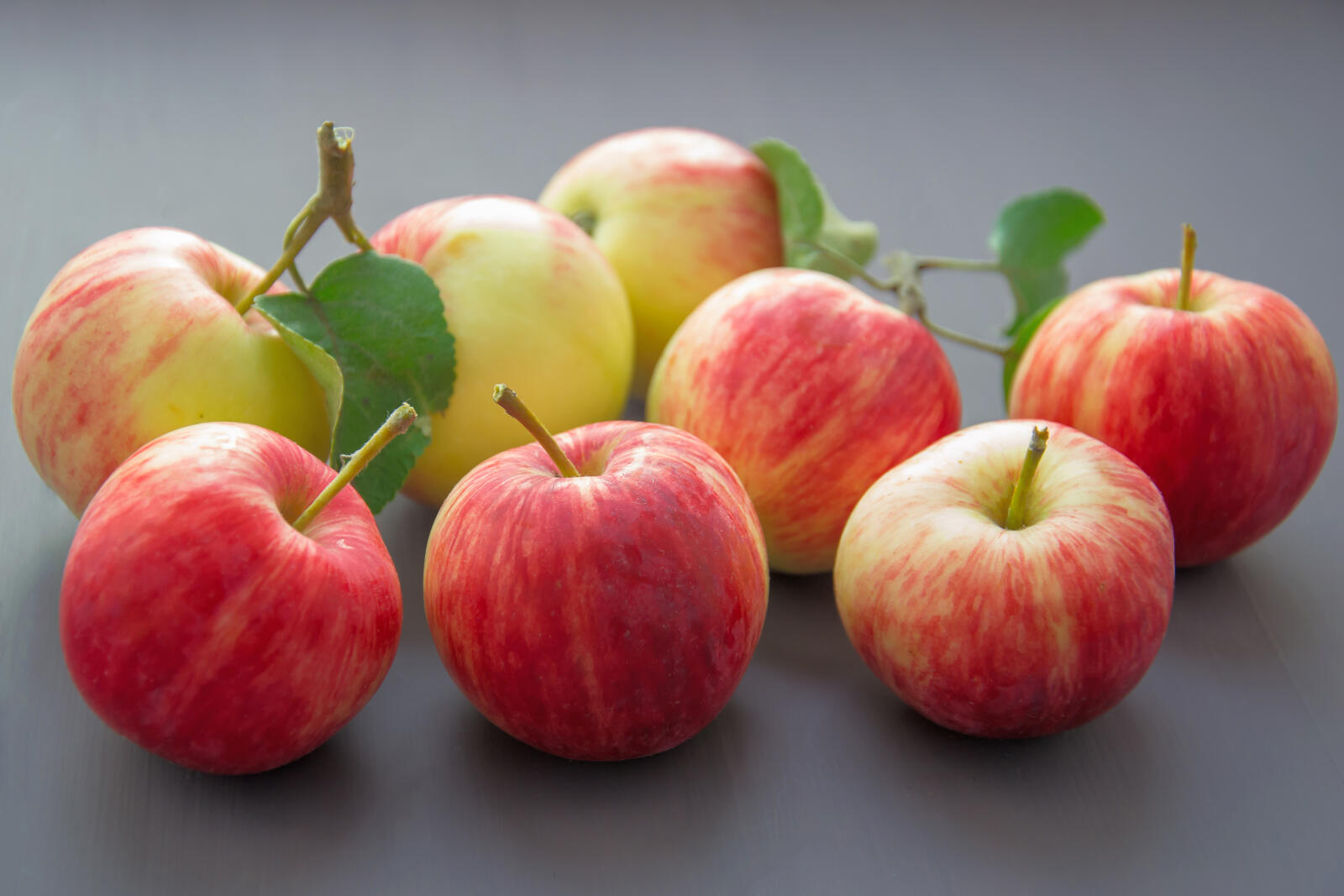 Бесплатное фото Дикие красные яблоки