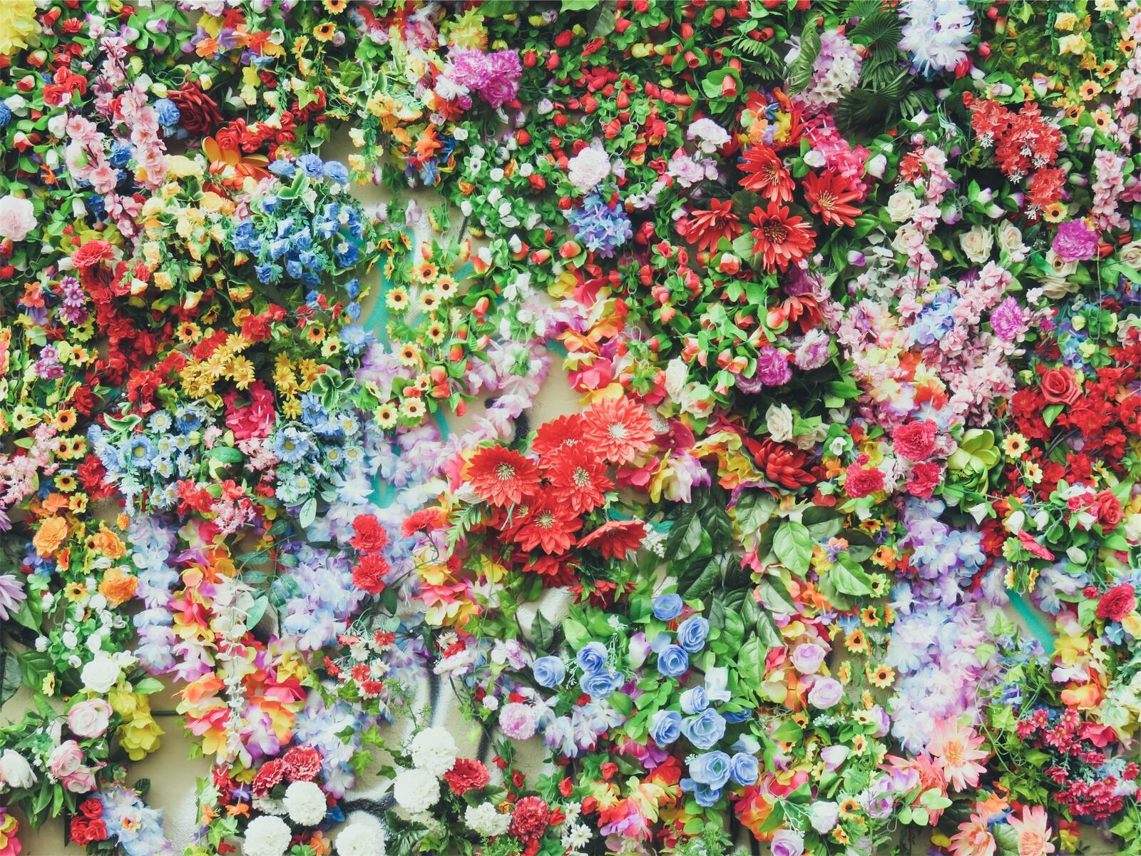Бесплатное фото Забор заросший различными цветами