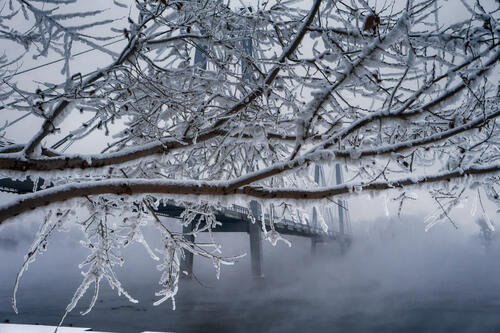 Мост в тумане за ветками в снегу