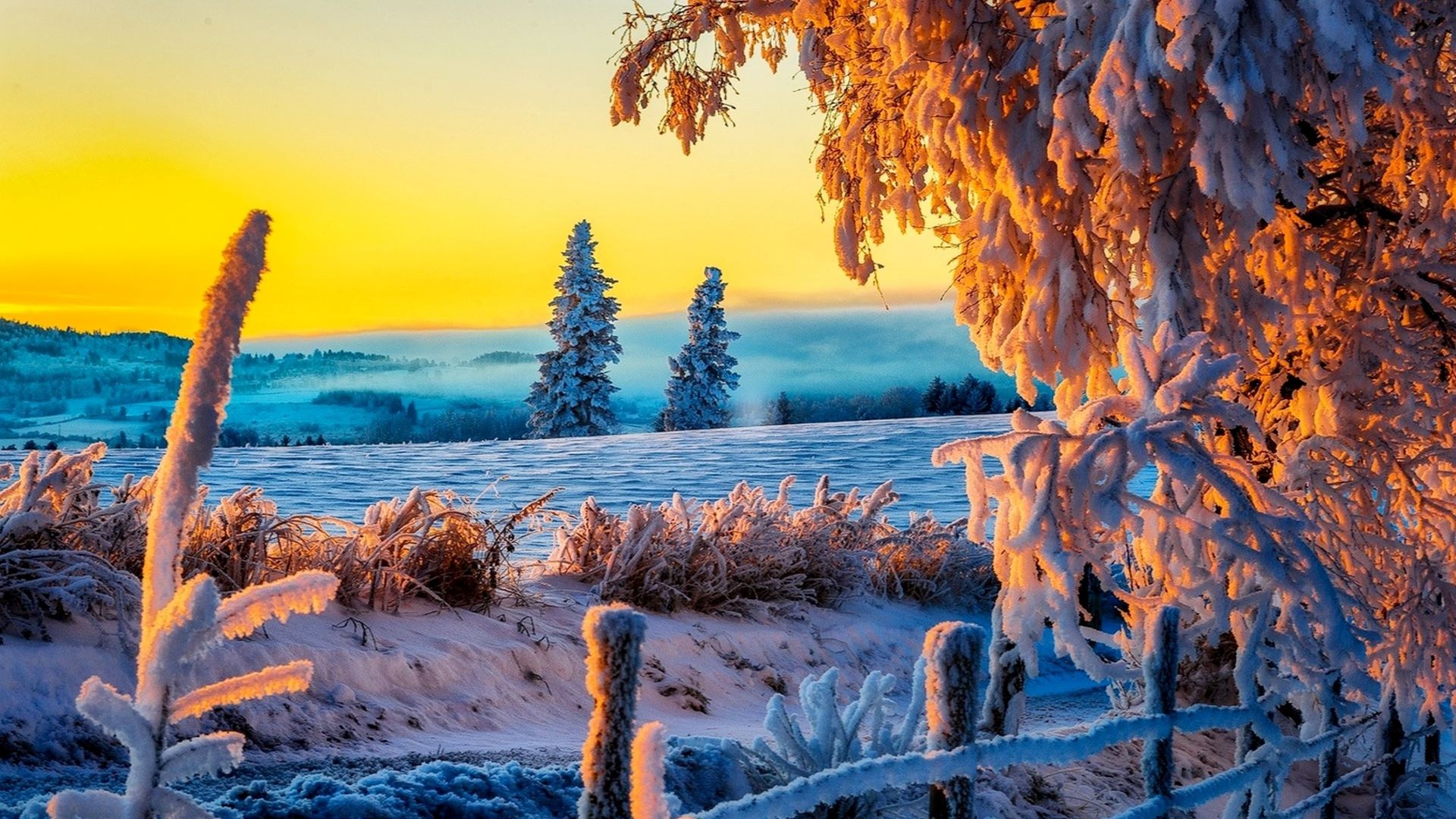Бесплатное фото Зимний пейзаж