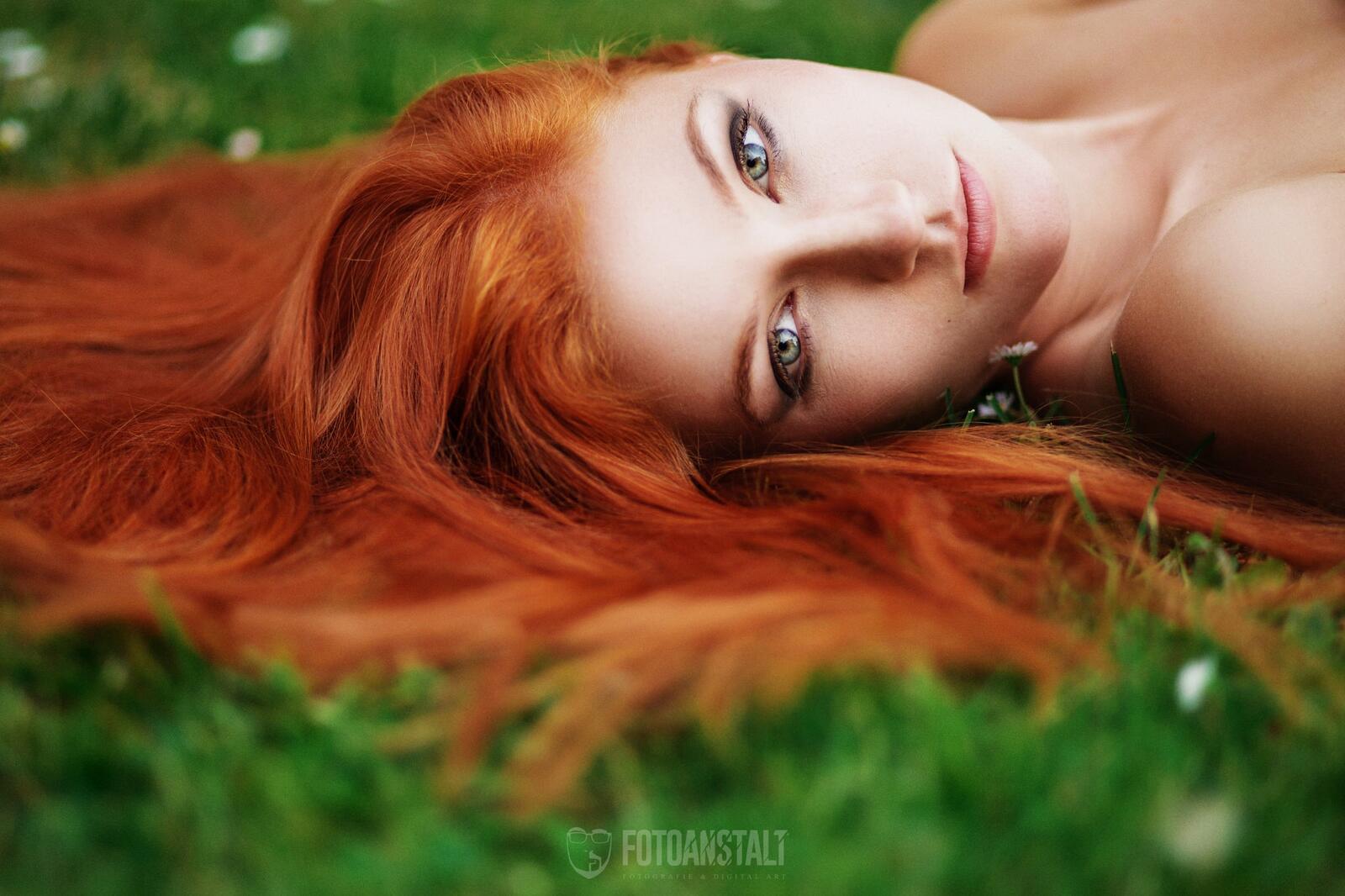 Wallpapers face woman redhead on the desktop