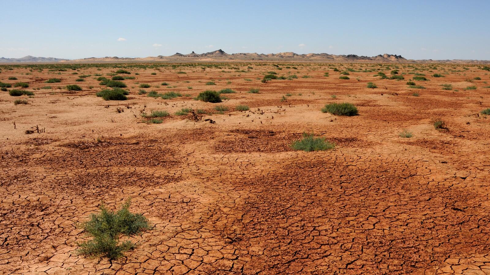 Бесплатное фото Потрескавшаяся земля в пустыне