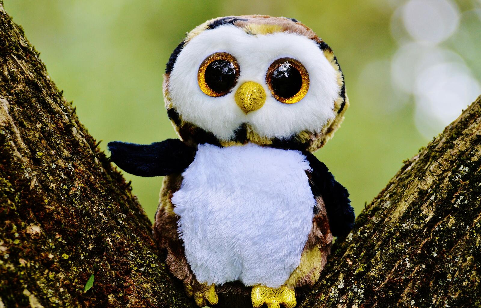 Free photo A beautiful toy owl in a tree