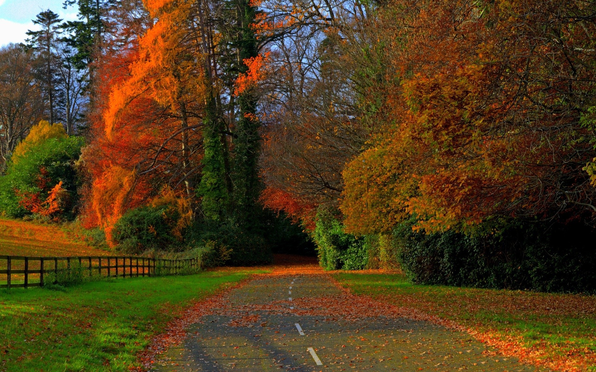 Бесплатное фото Разноцветная осень