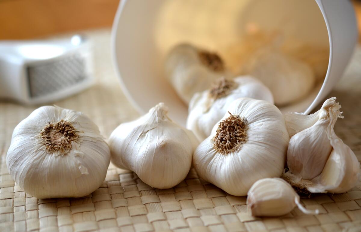 Scattered garlic heads