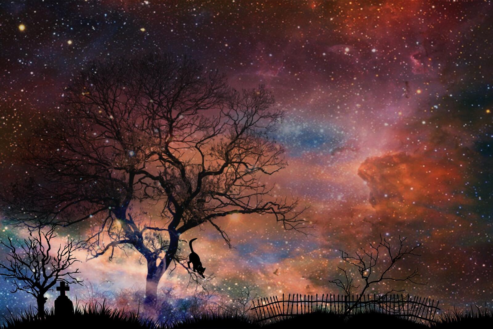Бесплатное фото Фантастическое кладбище на фоне космической туманности
