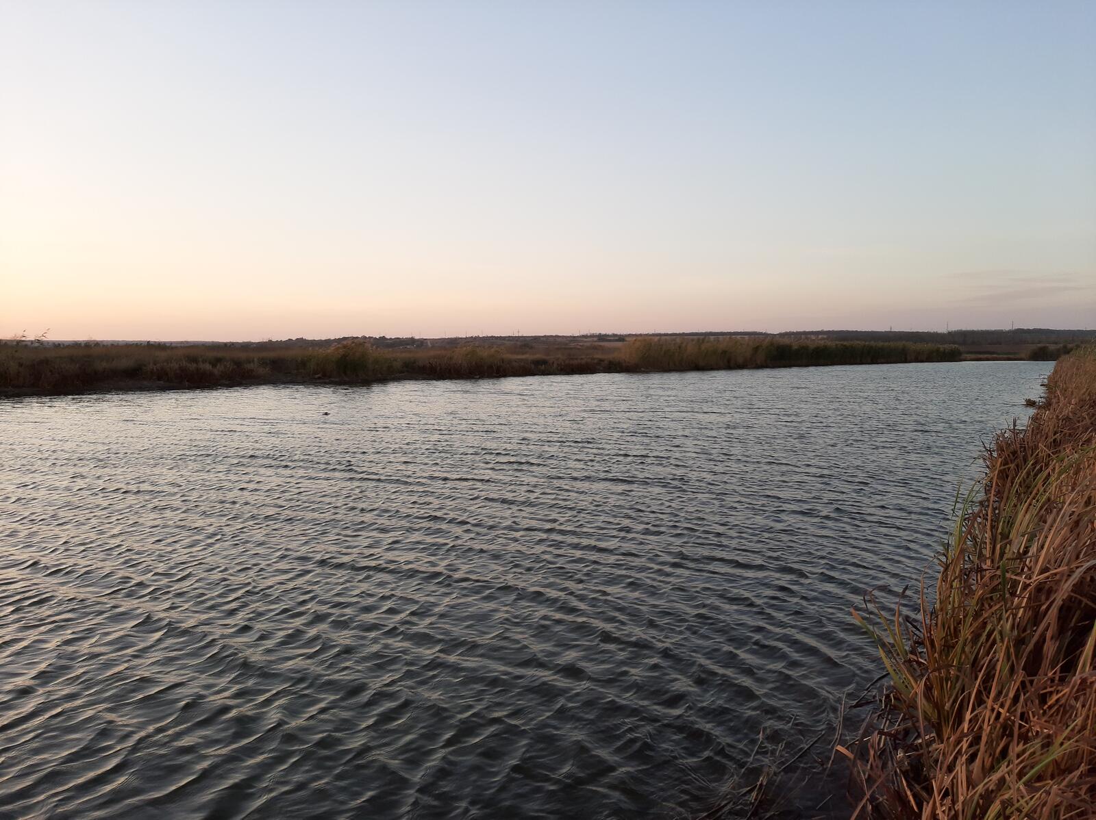 Бесплатное фото Просторный речной пейзаж с камышом
