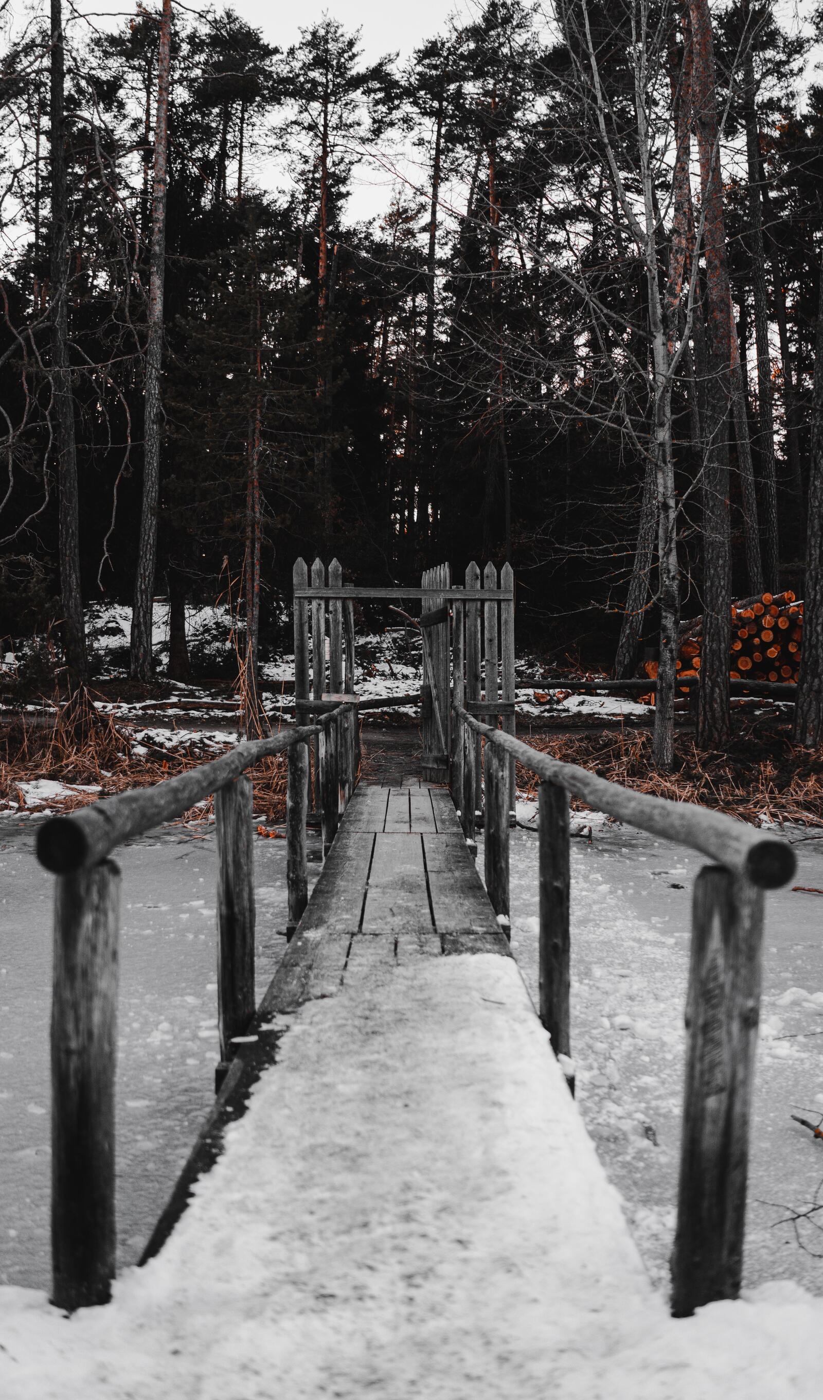 Free photo Wallpaper depicting an old wooden bridge in the woods