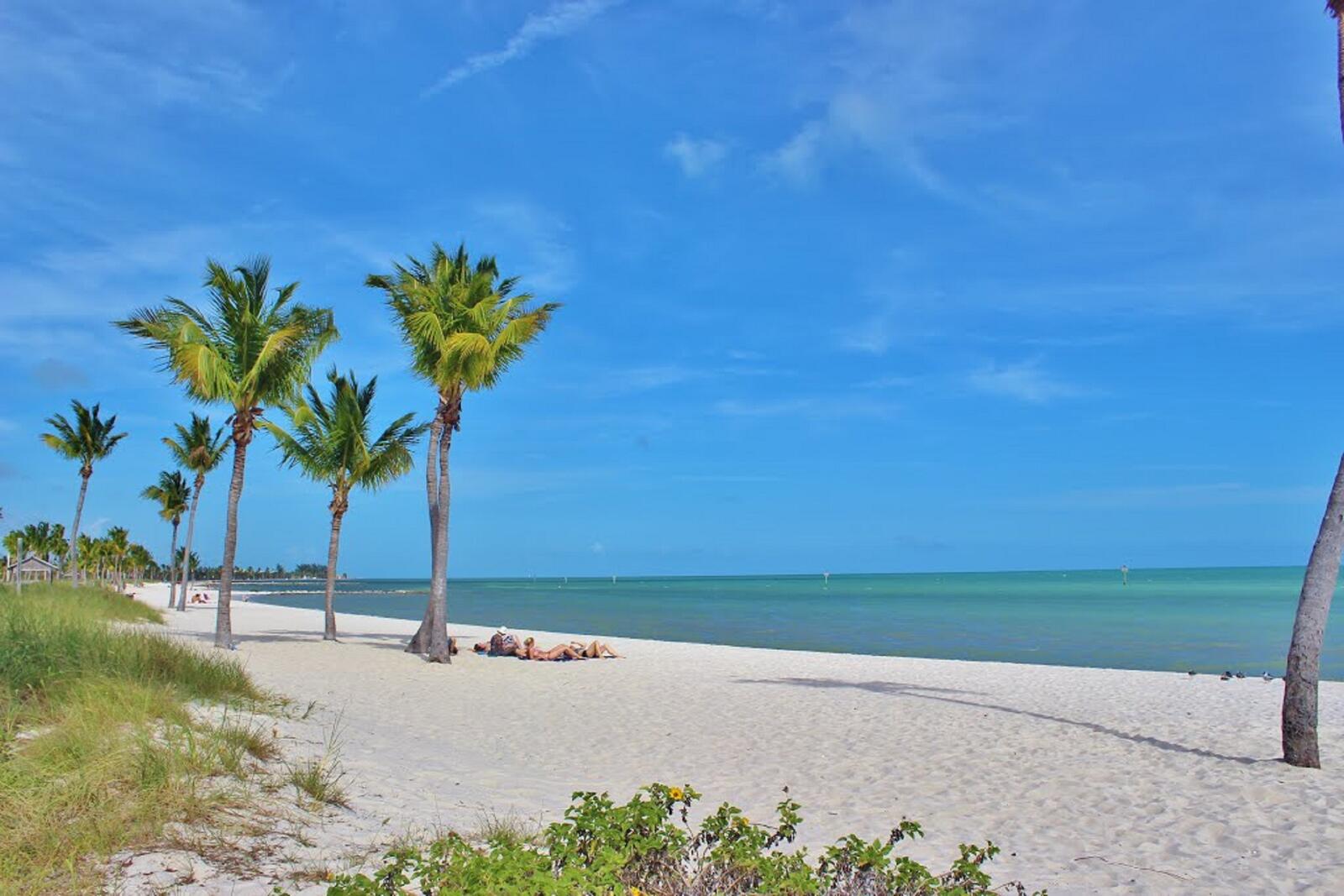 Бесплатное фото Пляж на побережье моря с пальмами