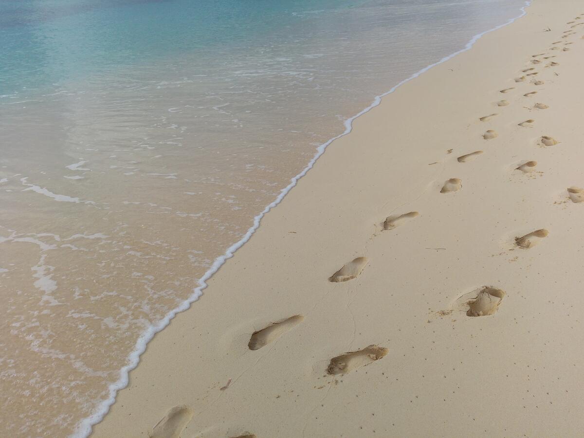 Следы ног на песочном пляже рядом с водой