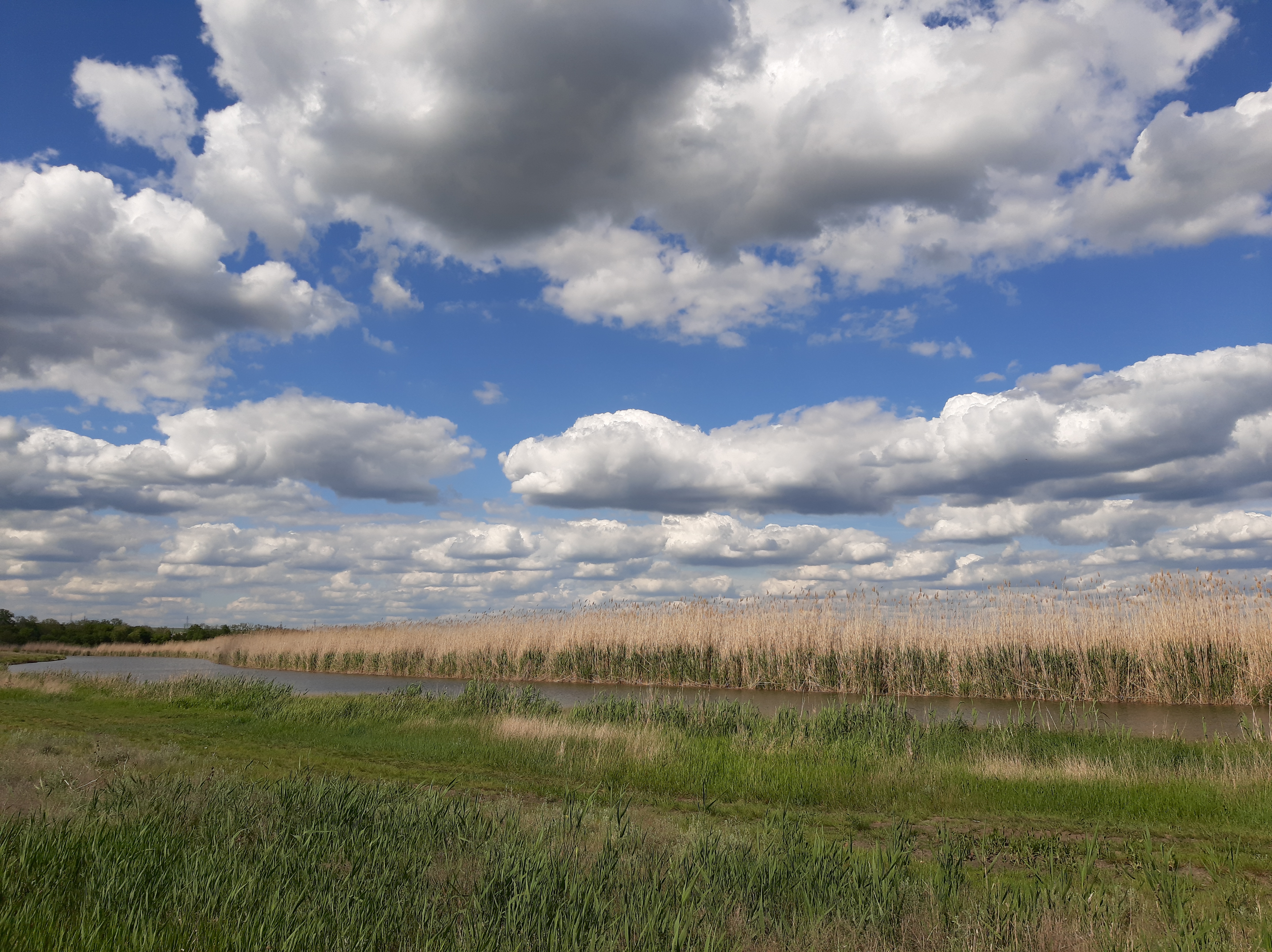 免费照片夏天的田野，天空中飘着浮云