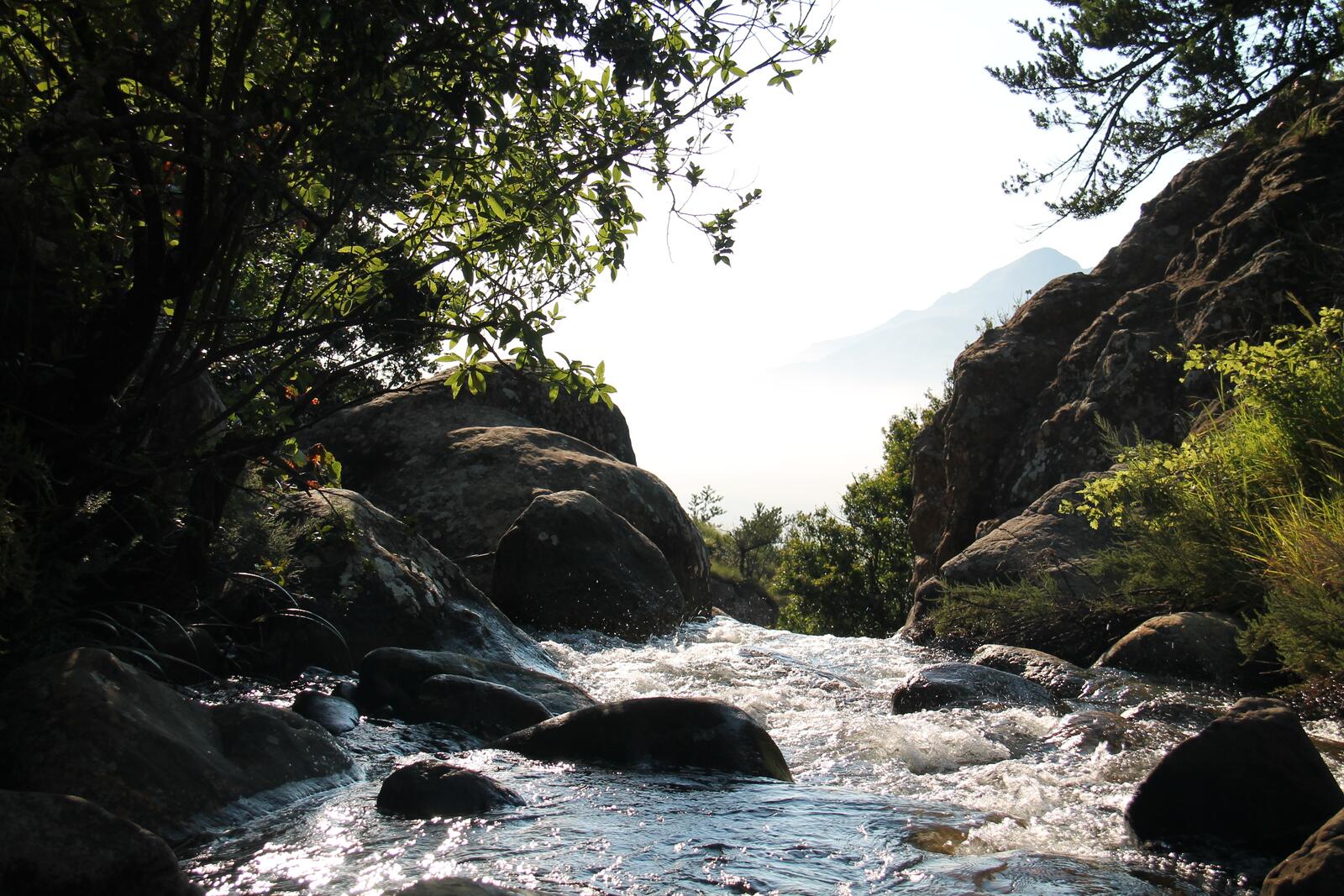 Free photo Strong river flow in the mountains