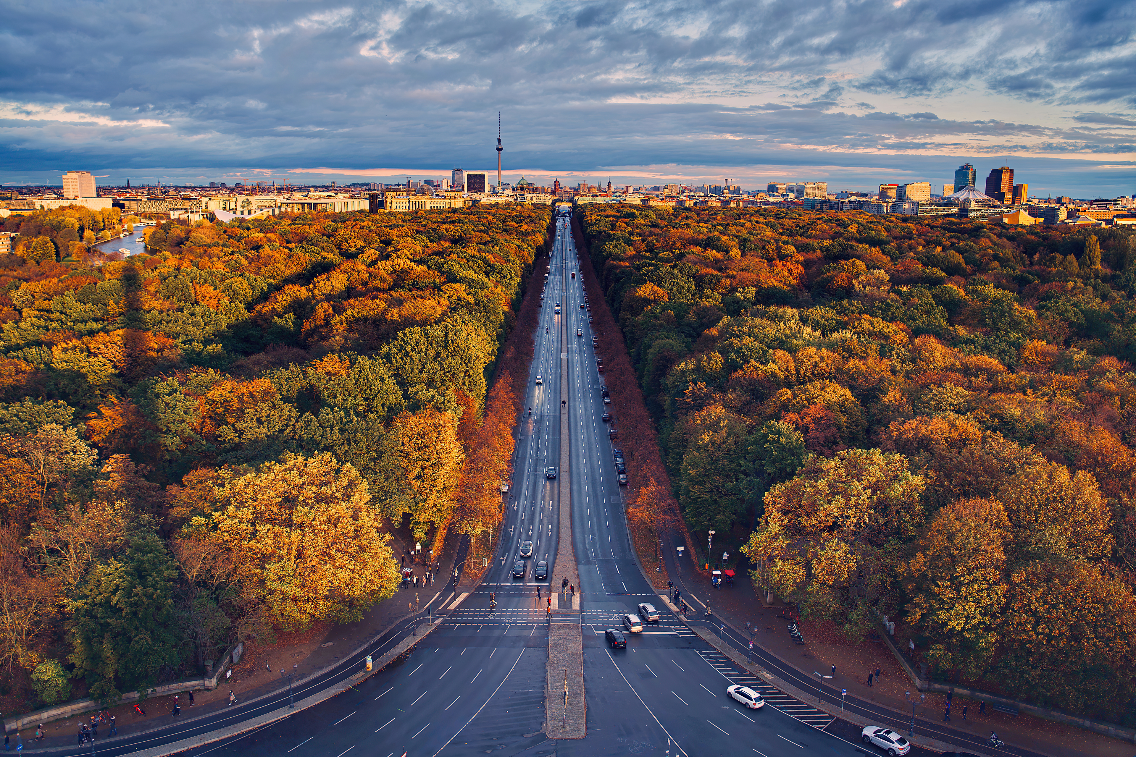 An autumn forest in the city with a highway running along it