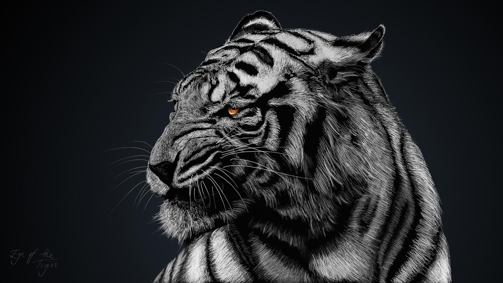 Бесплатное фото Злой тигр на монохромном фото