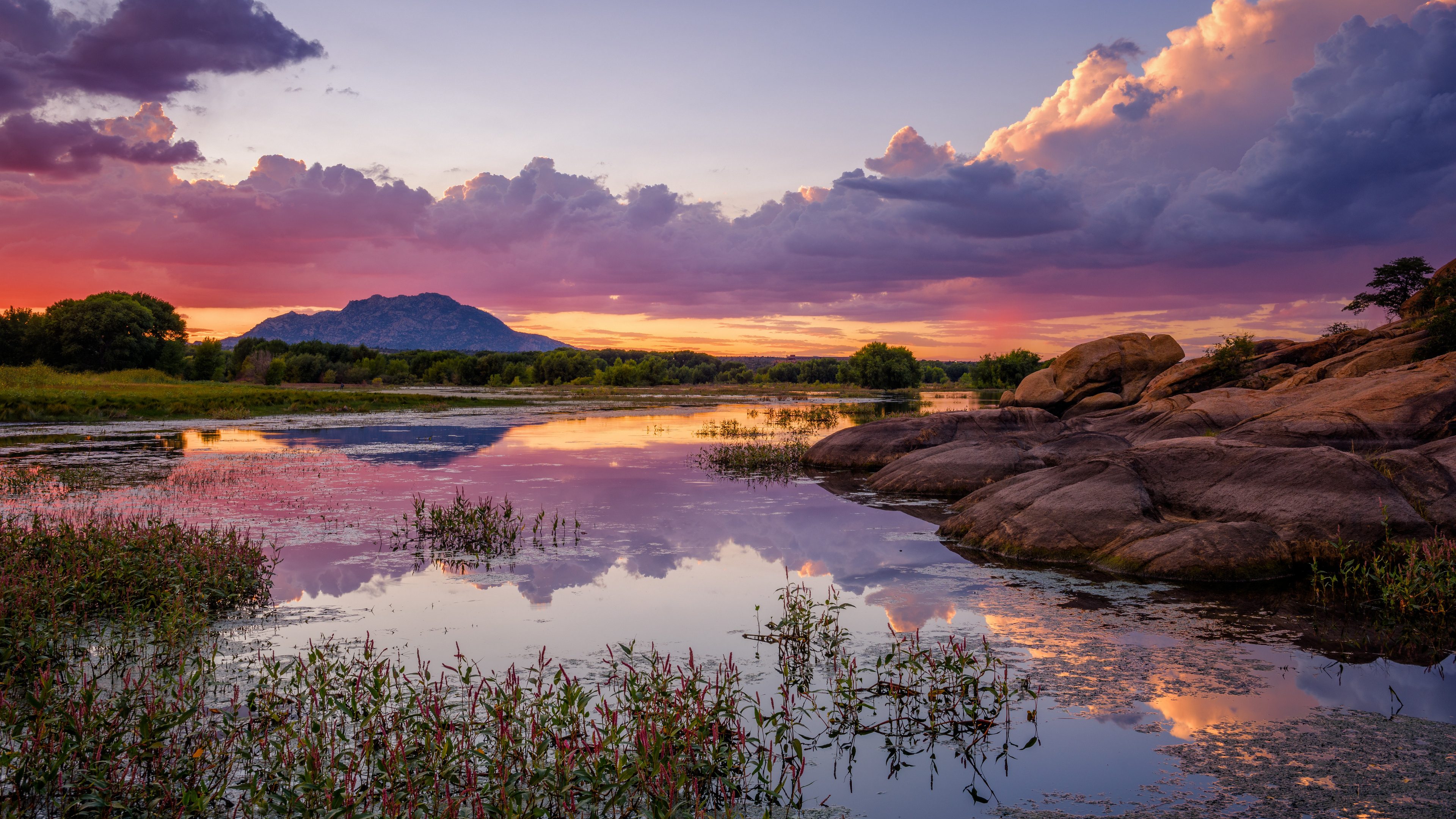 免费照片夕阳下的沼泽河