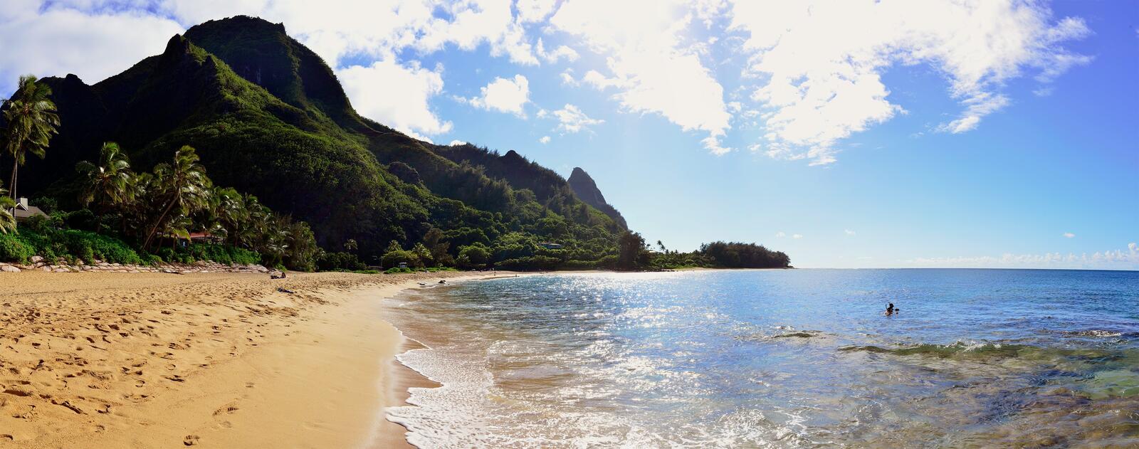 Бесплатное фото Тропический пляж на Гавайях