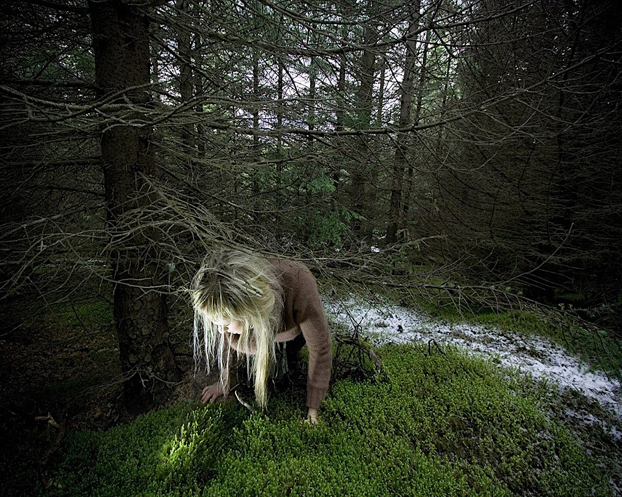 免费照片女孩正在研究森林里的苔藓