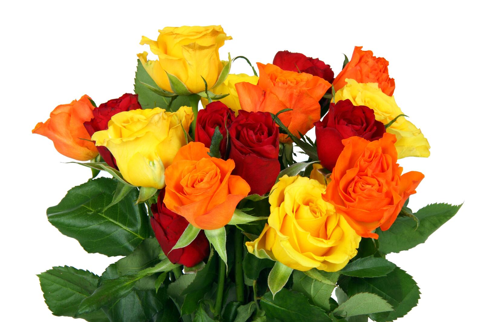 Free photo Multicolored bouquet of roses