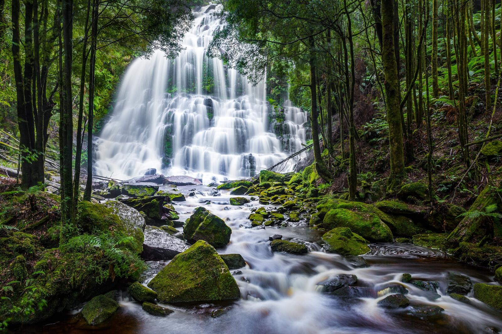 Бесплатное фото Большой водопад в старом лесу