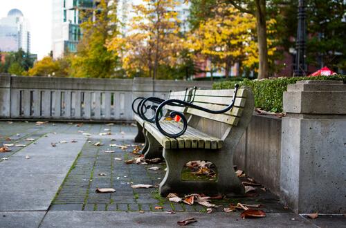 A bench in a fall park
